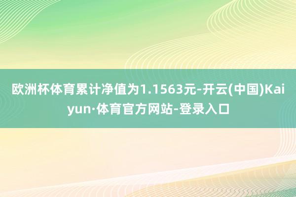 欧洲杯体育累计净值为1.1563元-开云(中国)Kaiyun·体育官方网站-登录入口