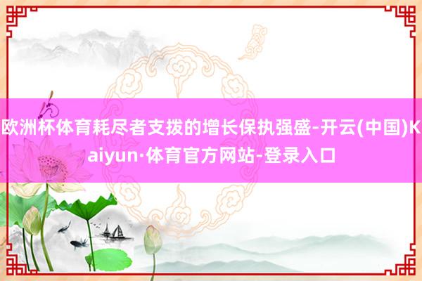欧洲杯体育耗尽者支拨的增长保执强盛-开云(中国)Kaiyun·体育官方网站-登录入口