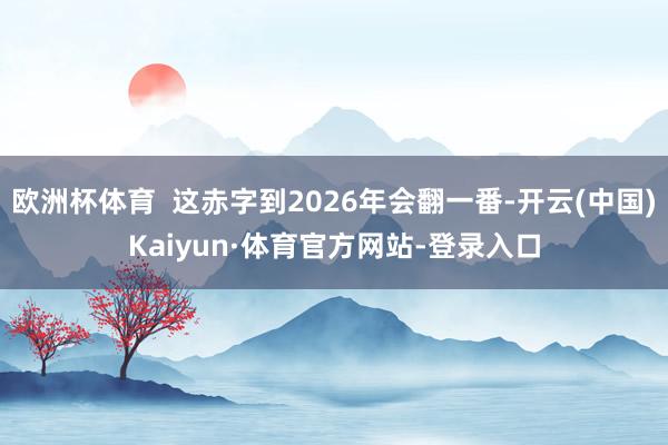 欧洲杯体育  这赤字到2026年会翻一番-开云(中国)Kaiyun·体育官方网站-登录入口
