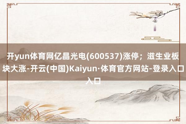 开yun体育网亿晶光电(600537)涨停；滋生业板块大涨-开云(中国)Kaiyun·体育官方网站-登录入口