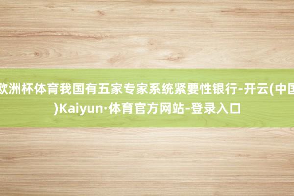 欧洲杯体育我国有五家专家系统紧要性银行-开云(中国)Kaiyun·体育官方网站-登录入口