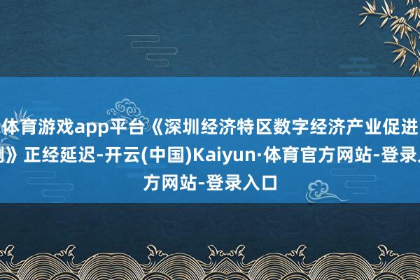 体育游戏app平台《深圳经济特区数字经济产业促进条例》正经延迟-开云(中国)Kaiyun·体育官方网站-登录入口