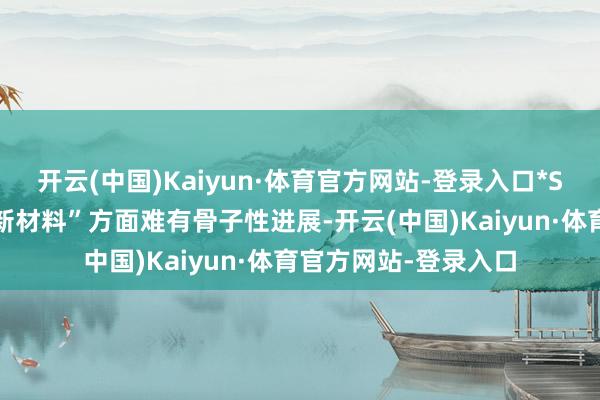 开云(中国)Kaiyun·体育官方网站-登录入口*ST中迪在“新时代、新材料”方面难有骨子性进展-开云(中国)Kaiyun·体育官方网站-登录入口