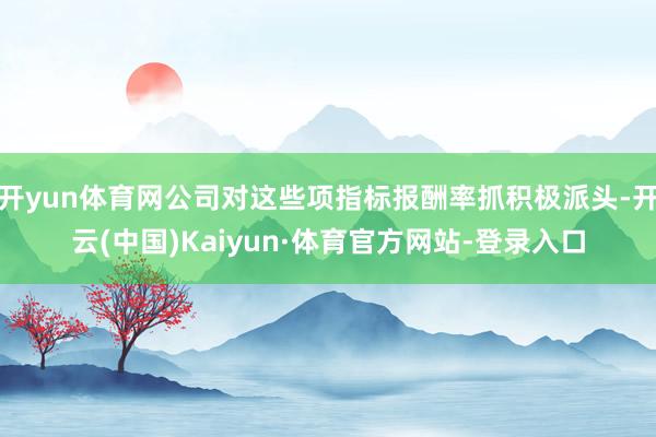 开yun体育网公司对这些项指标报酬率抓积极派头-开云(中国)Kaiyun·体育官方网站-登录入口
