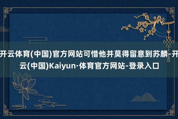 开云体育(中国)官方网站可惜他并莫得留意到苏麟-开云(中国)Kaiyun·体育官方网站-登录入口