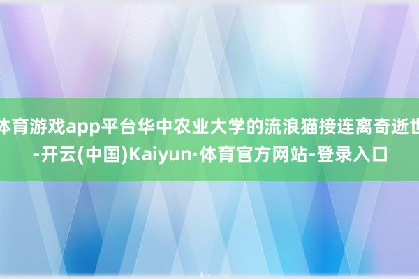 体育游戏app平台华中农业大学的流浪猫接连离奇逝世-开云(中国)Kaiyun·体育官方网站-登录入口