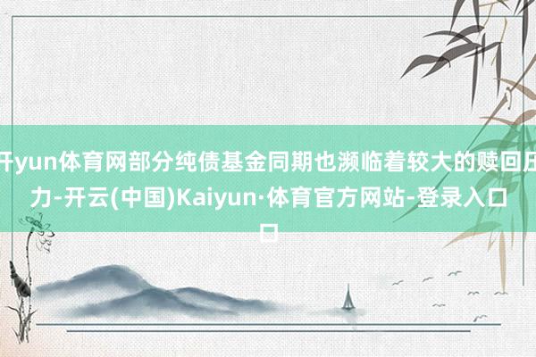 开yun体育网部分纯债基金同期也濒临着较大的赎回压力-开云(中国)Kaiyun·体育官方网站-登录入口