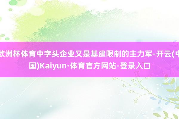欧洲杯体育中字头企业又是基建限制的主力军-开云(中国)Kaiyun·体育官方网站-登录入口
