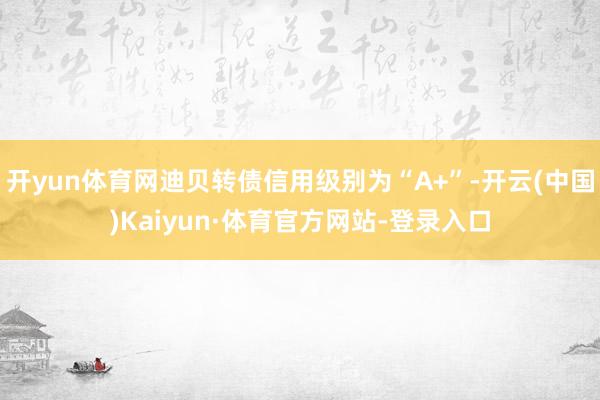 开yun体育网迪贝转债信用级别为“A+”-开云(中国)Kaiyun·体育官方网站-登录入口