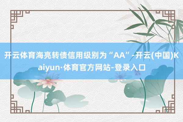 开云体育海亮转债信用级别为“AA”-开云(中国)Kaiyun·体育官方网站-登录入口